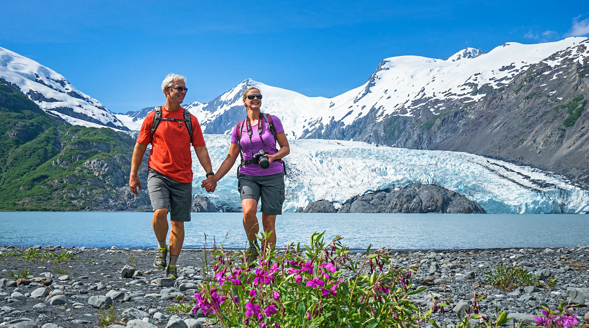 alaska summer tours