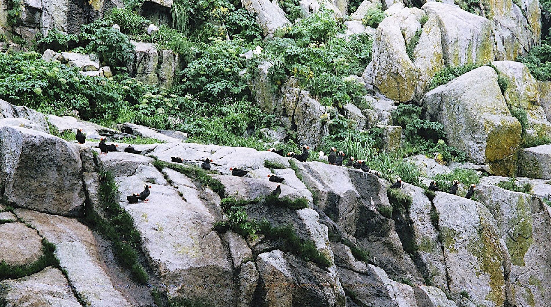 Picture of some rocks.